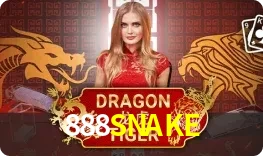 Dragon Tiger